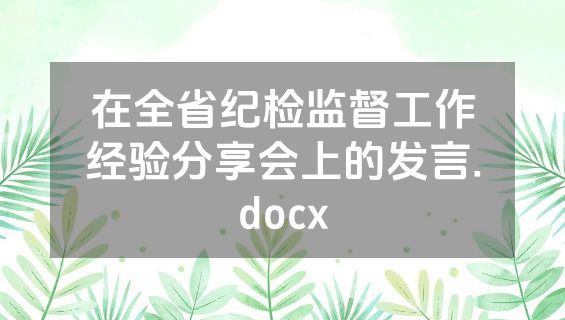 在全省纪检监督工作经验分享会上的发言.docx