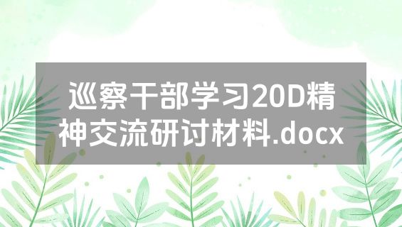 巡察干部学习20D精神交流研讨材料.docx