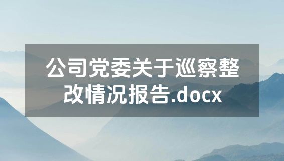 公司党委关于巡察整改情况报告.docx