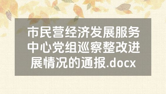 市民营经济发展服务中心党组巡察整改进展情况的通报.docx
