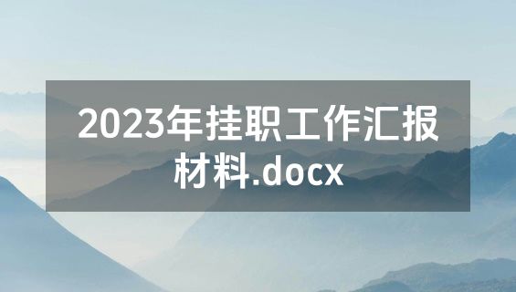 2023年挂职工作汇报材料.docx