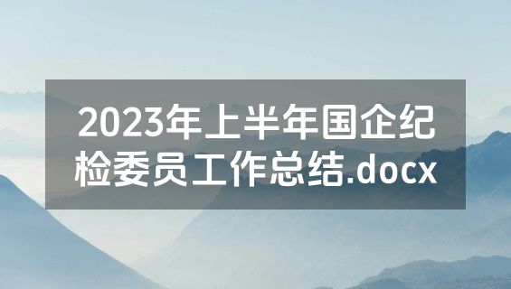 2023年上半年国企纪检委员工作总结.docx