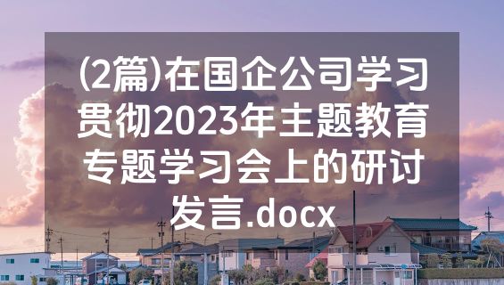 (2篇)在国企公司学习贯彻2023年主题教育专题学习会上的研讨发言.docx