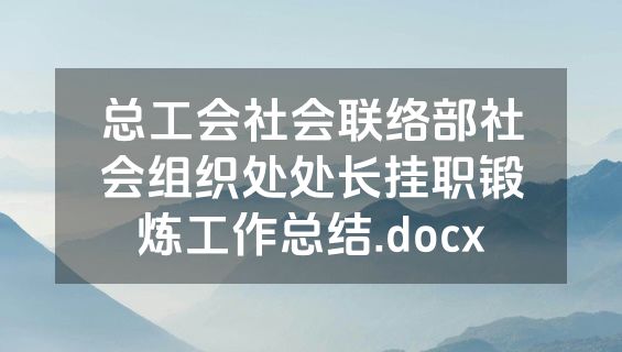 总工会社会联络部社会组织处处长挂职锻炼工作总结.docx
