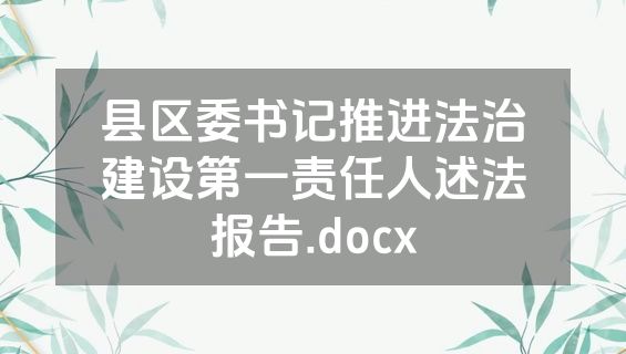 县区委书记推进法治建设第一责任人述法报告.docx