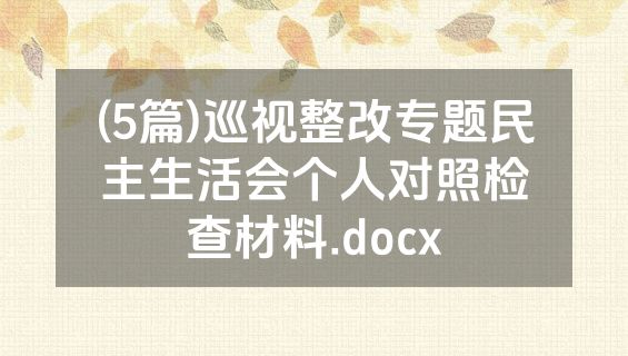 (5篇)巡视整改专题民主生活会个人对照检查材料.docx