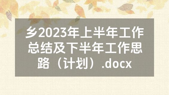 乡2023年上半年工作总结及下半年工作思路（计划）.docx
