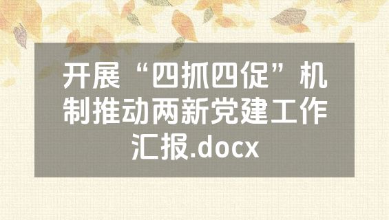 开展“四抓四促”机制推动两新党建工作汇报.docx