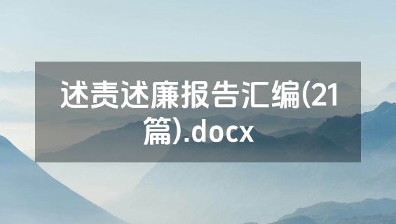 述责述廉报告汇编(21篇).docx