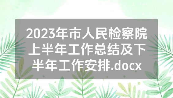 2023年市人民检察院上半年工作总结及下半年工作安排.docx