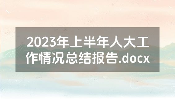 2023年上半年人大工作情况总结报告.docx