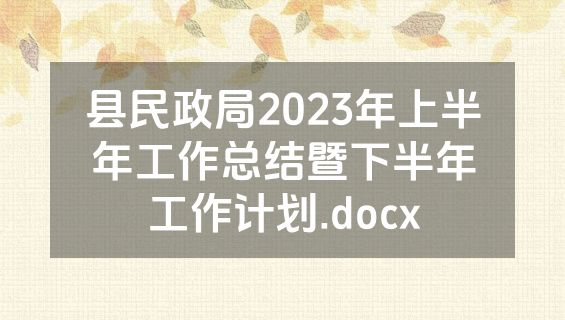 县民政局2023年上半年工作总结暨下半年工作计划.docx