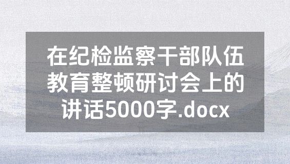 在纪检监察干部队伍教育整顿研讨会上的讲话5000字.docx