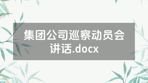 集团公司巡察动员会讲话.docx