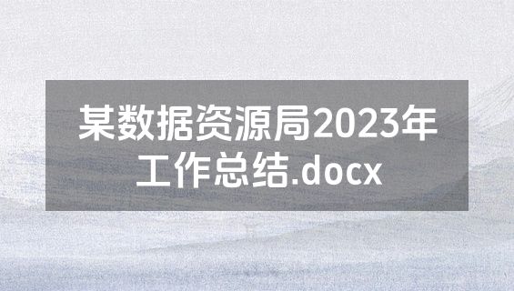 某数据资源局2023年工作总结.docx