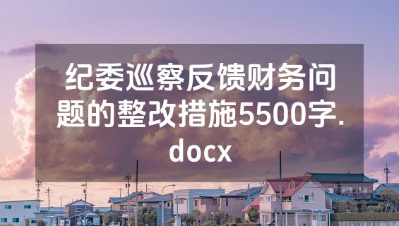 纪委巡察反馈财务问题的整改措施5500字.docx
