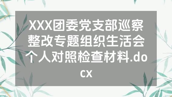 XXX团委党支部巡察整改专题组织生活会个人对照检查材料.docx