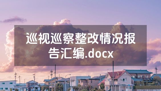 巡视巡察整改情况报告汇编.docx