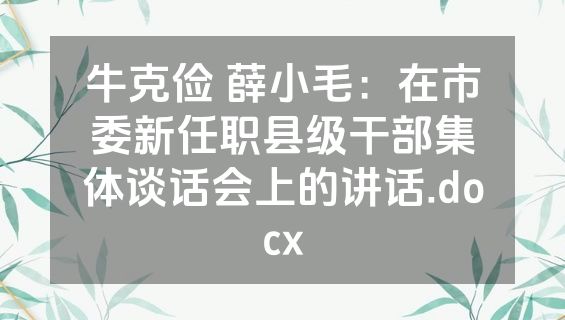 牛克俭 薛小毛：在市委新任职县级干部集体谈话会上的讲话.docx