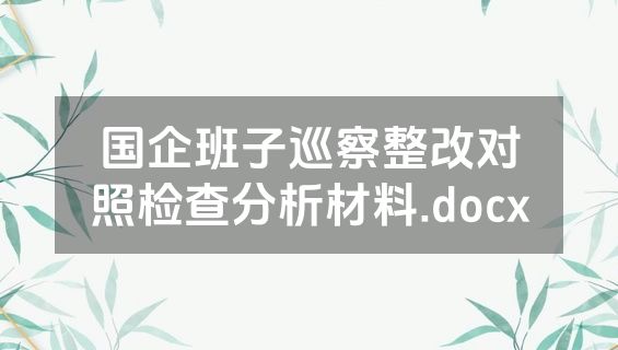 国企班子巡察整改对照检查分析材料.docx