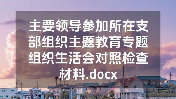主要领导参加所在支部组织主题教育专题组织生活会对照检查材料.docx