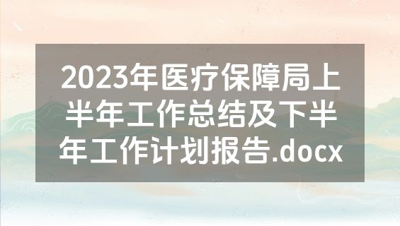 2023年医疗保障局上半年工作总结及下半年工作计划报告.docx