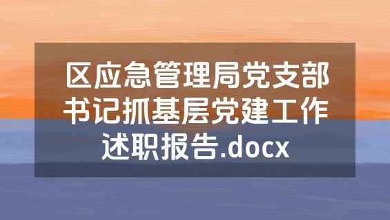 区应急管理局党支部书记抓基层党建工作述职报告.docx