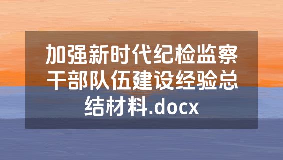 加强新时代纪检监察干部队伍建设经验总结材料.docx