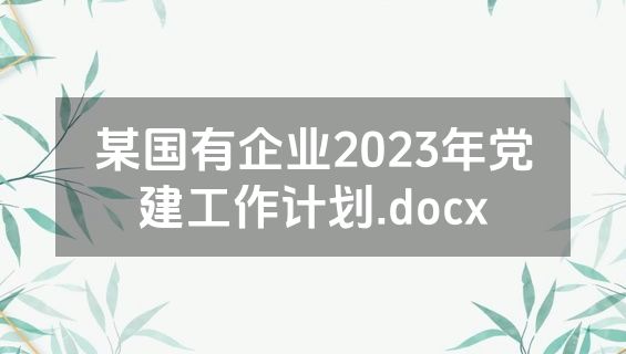 某国有企业2023年党建工作计划.docx