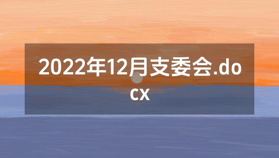 2022年12月支委会.docx