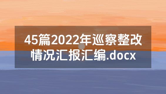 45篇2022年巡察整改情况汇报汇编.docx