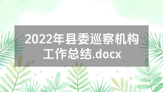 2022年县委巡察机构工作总结.docx