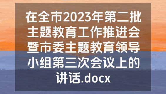 在全市2023年第二批主题教育工作推进会暨市委主题教育领导小组第三次会议上的讲话.docx