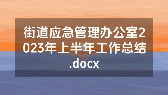 街道应急管理办公室2023年上半年工作总结.docx