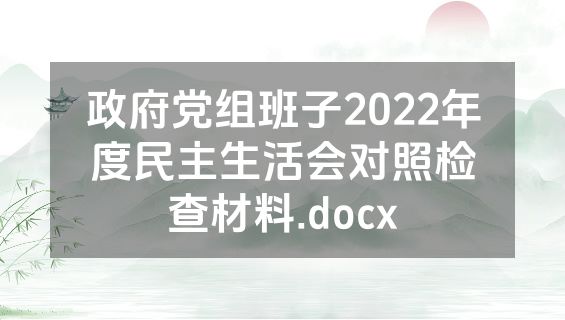 政府党组班子2022年度民主生活会对照检查材料.docx