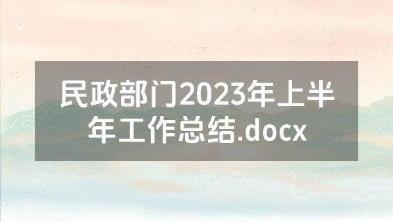 民政部门2023年上半年工作总结.docx