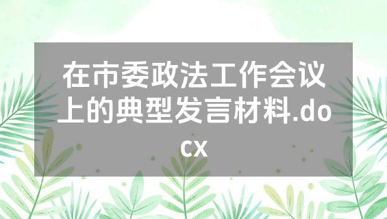 在市委政法工作会议上的典型发言材料.docx