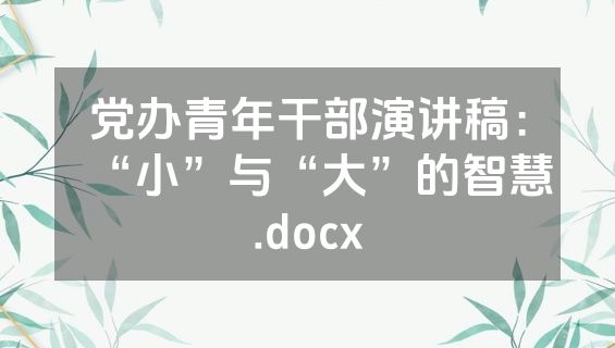党办青年干部演讲稿：“小”与“大”的智慧.docx