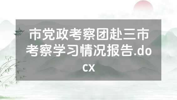 市党政考察团赴三市考察学习情况报告.docx