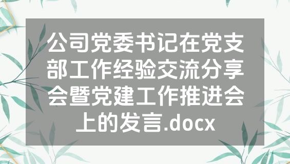 公司党委书记在党支部工作经验交流分享会暨党建工作推进会上的发言.docx
