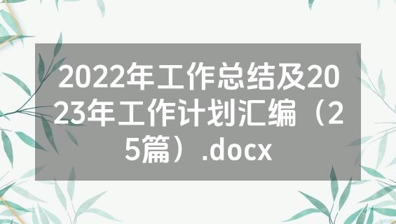 2022年工作总结及2023年工作计划汇编（25篇）.docx