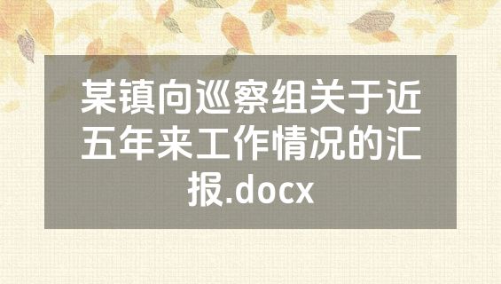 某镇向巡察组关于近五年来工作情况的汇报.docx