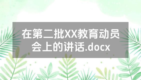 在第二批XX教育动员会上的讲话.docx