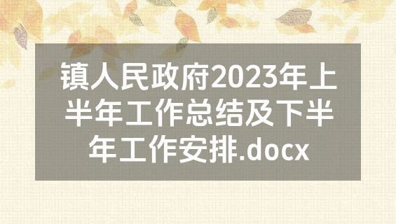 镇人民政府2023年上半年工作总结及下半年工作安排.docx