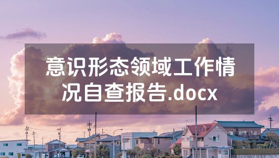 意识形态领域工作情况自查报告.docx