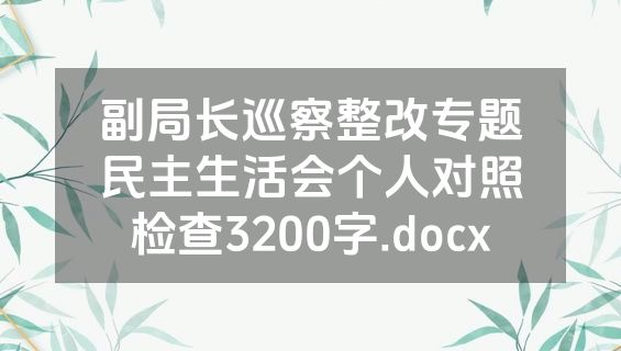 副局长巡察整改专题民主生活会个人对照检查3200字.docx