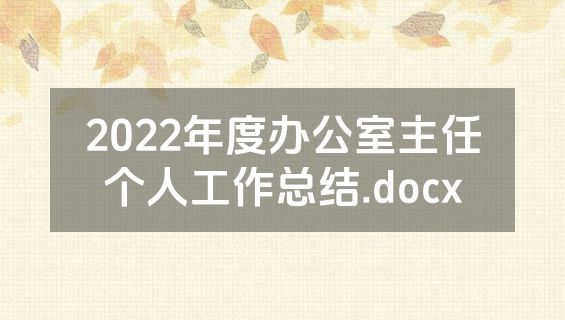 2022年度办公室主任个人工作总结.docx