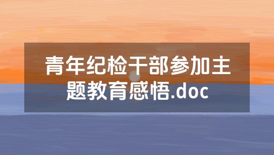 青年纪检干部参加主题教育感悟.doc