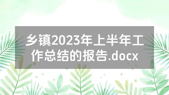 乡镇2023年上半年工作总结的报告.docx