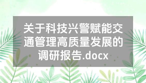 关于科技兴警赋能交通管理高质量发展的调研报告.docx